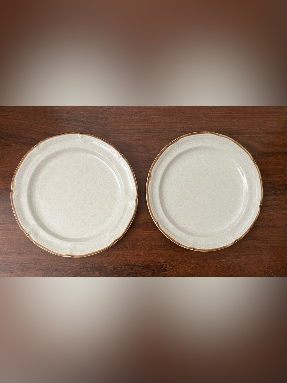 Set/2 VTG Hearthside Baroque Summer Sun Speckled Stoneware Dinner Plate 10.5”